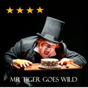 Mr Tiger Stars