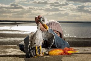 IN OUR HANDS PUBLICITY Photo Credit: Richard Davenport 2016 richard@rwdavenport.co.uk