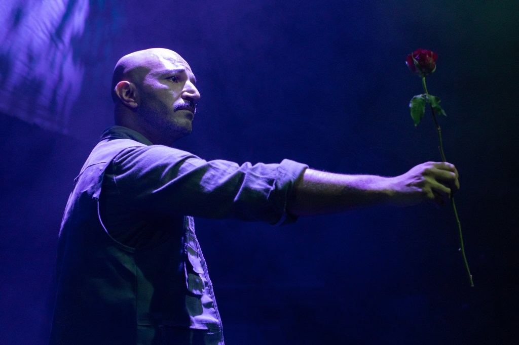 A man with outstretched arm, offering a red rose